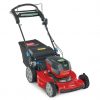 TORO 21466 Lawn Mower | Current Power Machinery