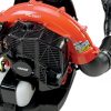 ECHO PB-580T Leaf Vaccum Toronto, Burlington, Mississauga